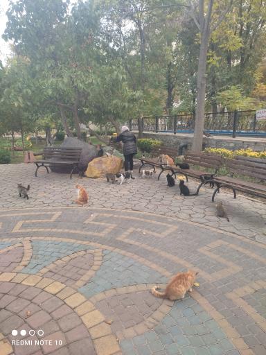 پارک باغ امامی