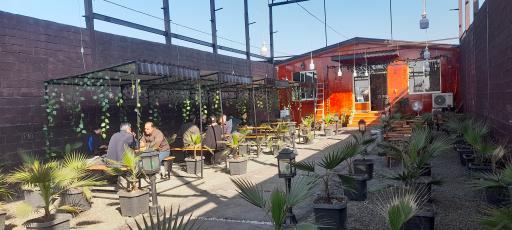 عکس کافه پالم