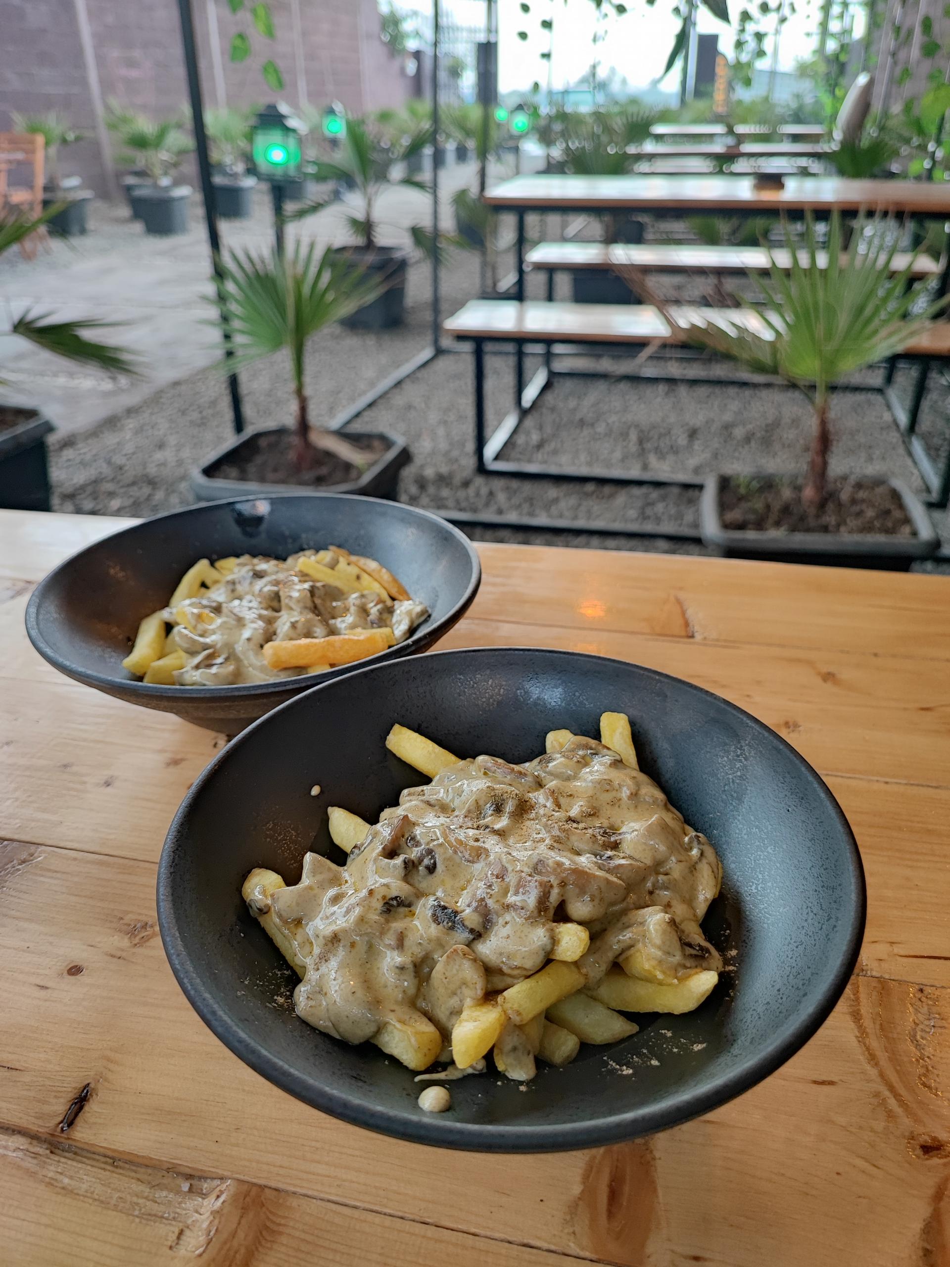 عکس کافه پالم