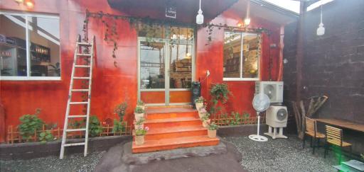 عکس کافه پالم