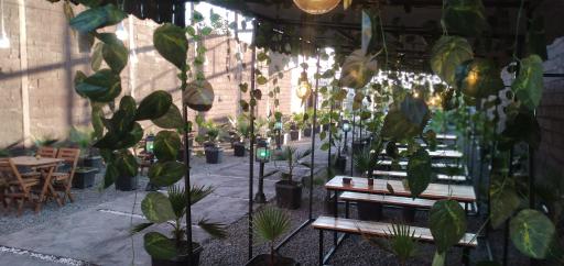 عکس کافه پالم