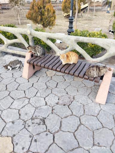 پارک باغ امامی