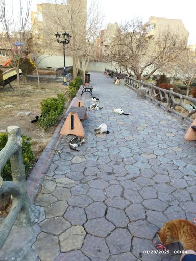 عکس پارک باغ امامی