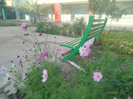 عکس هنرستان شهید روزبه 