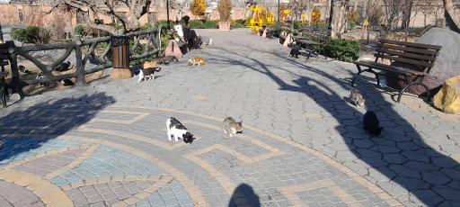 عکس پارک باغ امامی