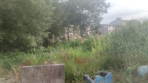 عکس پارک فلاحتی