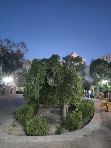 عکس پارک باغ امامی