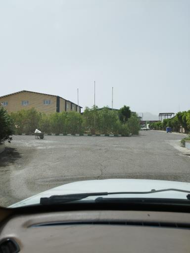 عکس شرکت انجیر طلایی