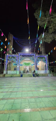 عکس امامزاده سید محمد (ع)