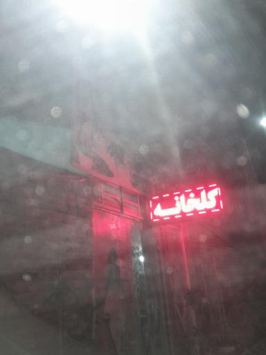 عکس گلخانه پدیلانتوس