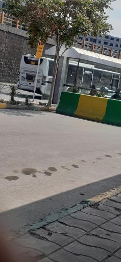 عکس  میدان حافظ