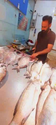عکس بازار ماهی فروش ها