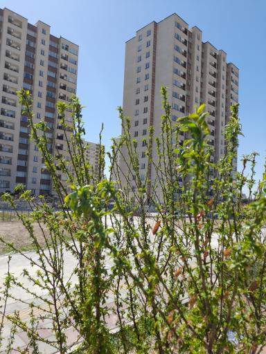 عکس مجتمع سیمرغ