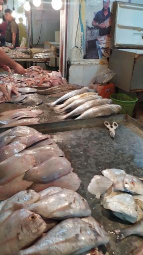 عکس بازار ماهی فروش ها