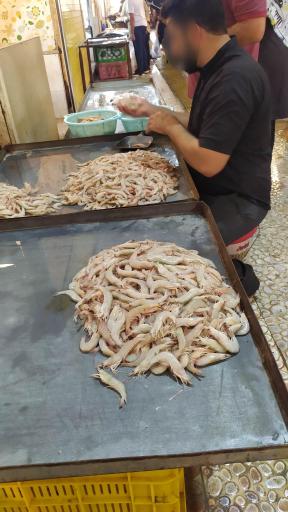 عکس بازار ماهی فروش ها