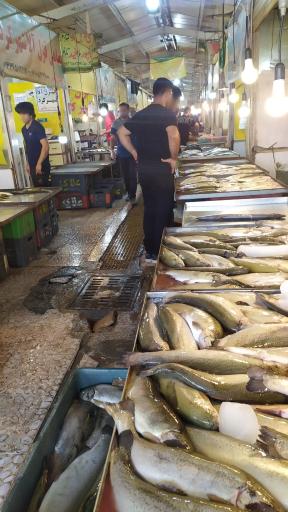 عکس بازار ماهی فروش ها