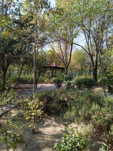 عکس بوستان آزادگان