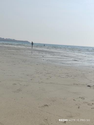 عکس پارک ساحلی نخل تقی