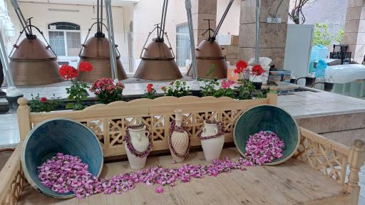 عکس گلاب گیری حاج رضا اقایی