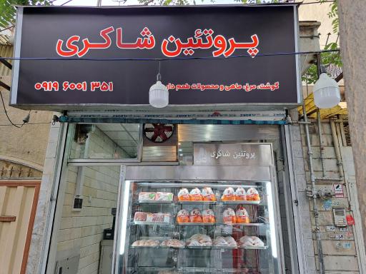عکس پروتئین شاکری