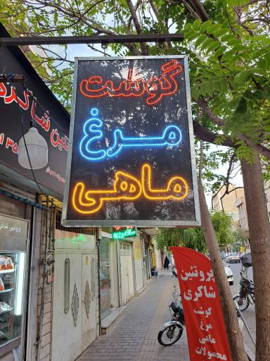 عکس پروتئین شاکری
