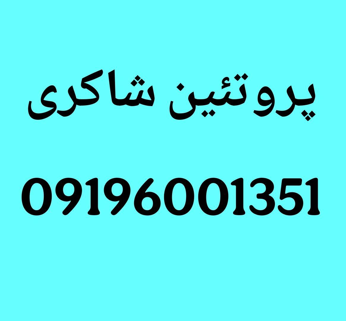 عکس پروتئین شاکری