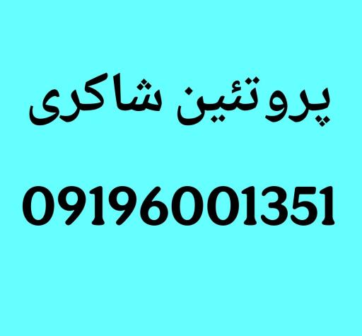 عکس پروتئین شاکری