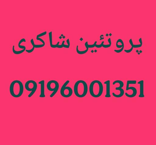 عکس پروتئین شاکری