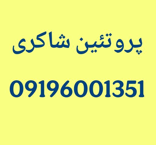 عکس پروتئین شاکری
