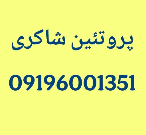 عکس پروتئین شاکری