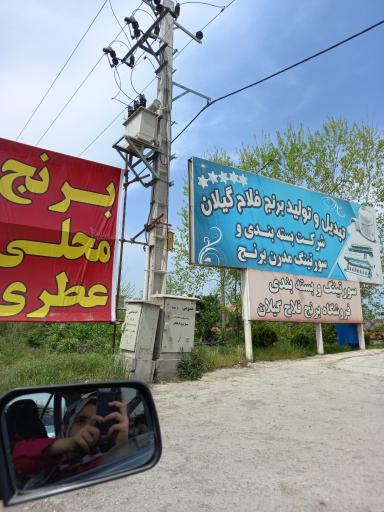 عکس کاخانه برنج کوبی فلاح