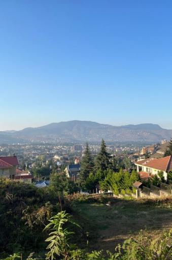 عکس جنگل آداس