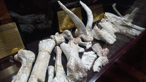 موزه باستان شناسی و مردم شناسی  فلک الافلاک