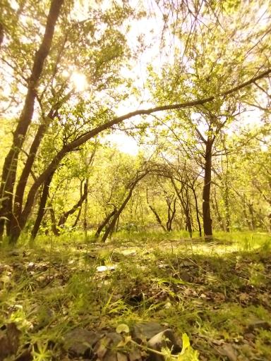 عکس چشمه قلقلی زشک