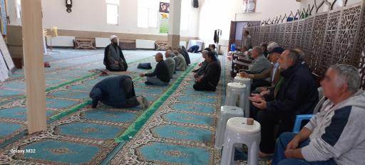 عکس مصلای لاله