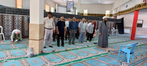 عکس مصلای لاله