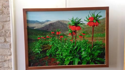 عکس موزه باستان شناسی و مردم شناسی  فلک الافلاک