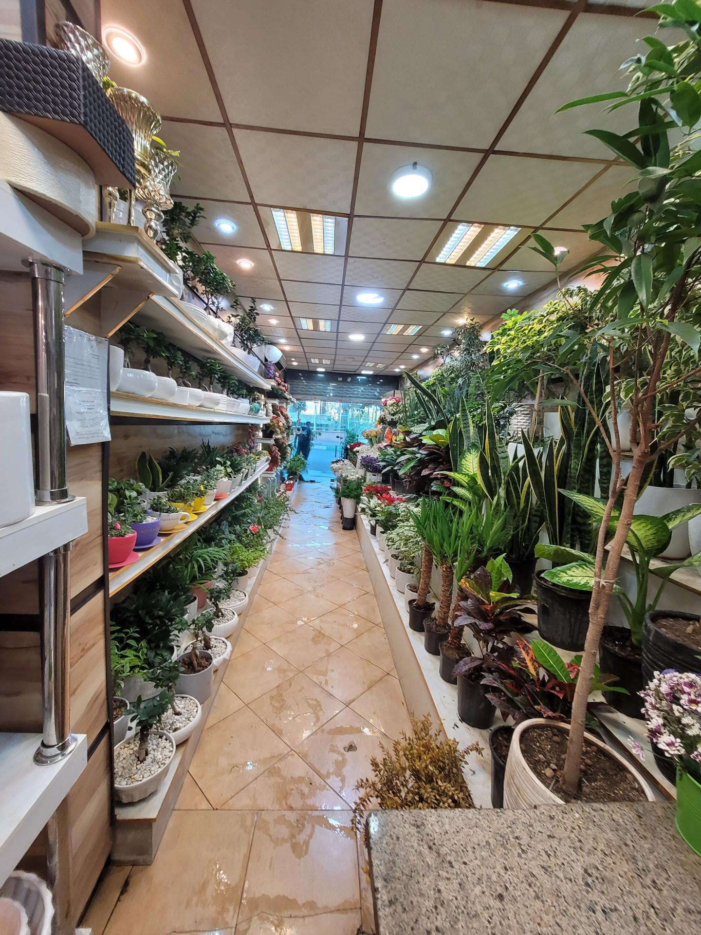 عکس گلفروشی