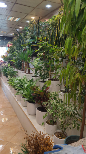 عکس گلفروشی