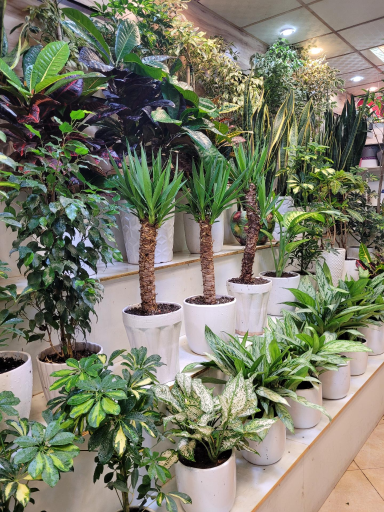 عکس گلفروشی