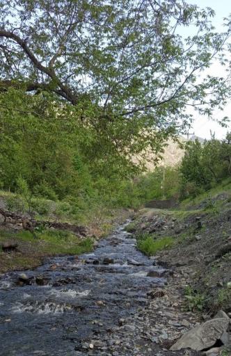 عکس چشمه قلقلی زشک