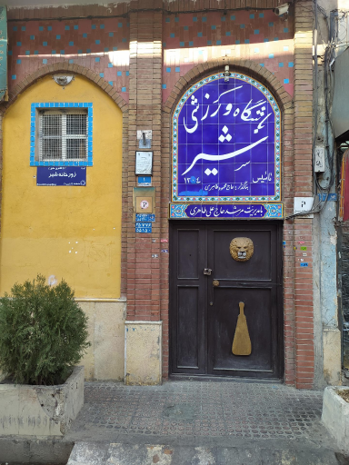 عکس زورخانه شیر