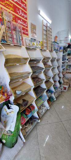 عکس پت شاپ طوطی مارکت