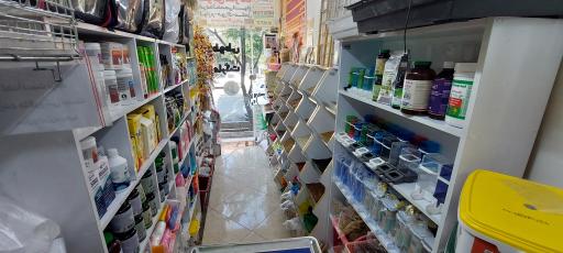 عکس پت شاپ طوطی مارکت