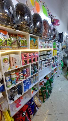 عکس پت شاپ طوطی مارکت