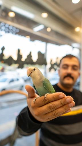 عکس نمایشگاه پرنده بیات