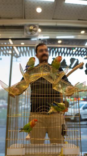 نمایشگاه پرنده بیات