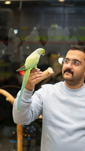 عکس نمایشگاه پرنده بیات