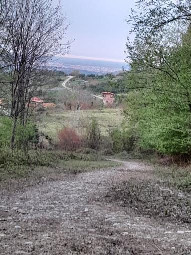 عکس قائمشهر