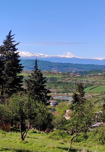 عکس قائمشهر